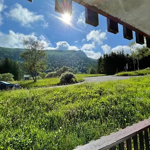 https://lecrin-dedern-4pers-mont-dore.hotels-rhonealpes.com