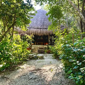 https://bunga-lotus-glamping-otoch-nacom.allrivieramayahotels.com